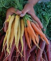 Stonestown Farmers Market