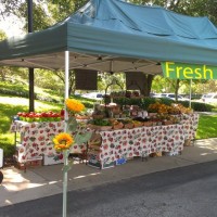 Farmers Market of San Marco