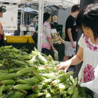 Federal Plaza Farmer’s Market