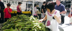 Federal Plaza Farmer’s Market